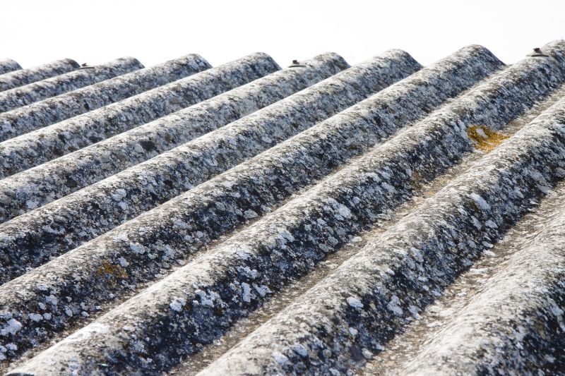 Asbestos Inspection Service in Bergen County, NJ