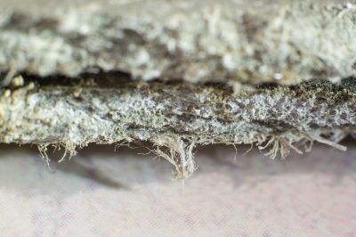 Asbestos Service in Morris County, NJ