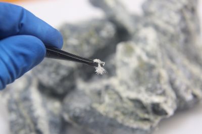 Asbestos Testing Service in Sussex County, NJ