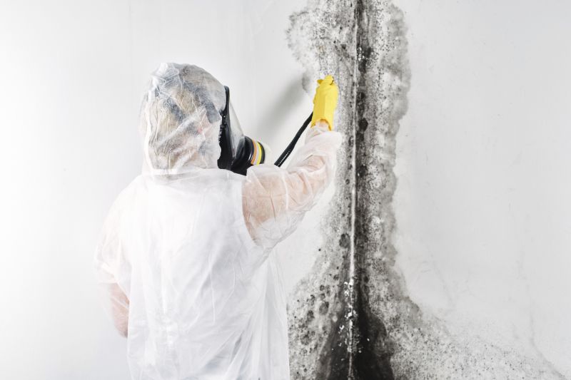 Basement Mold Remediation in Jupiter, FL