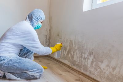 Basement Mold Remediation in Jupiter, FL