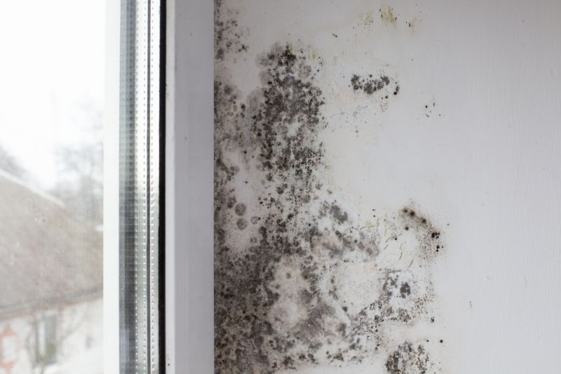 Basement Mold Removal in Fort Worth, TX