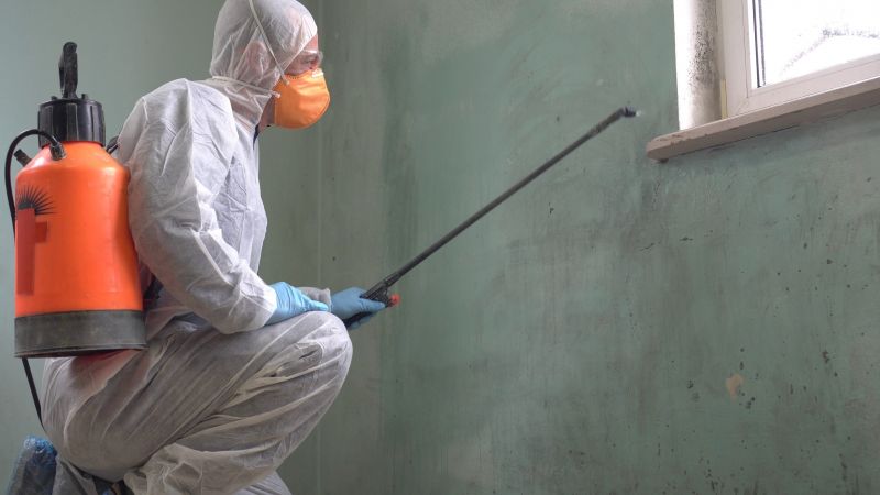 Black Mold Removal in Weatherford, TX