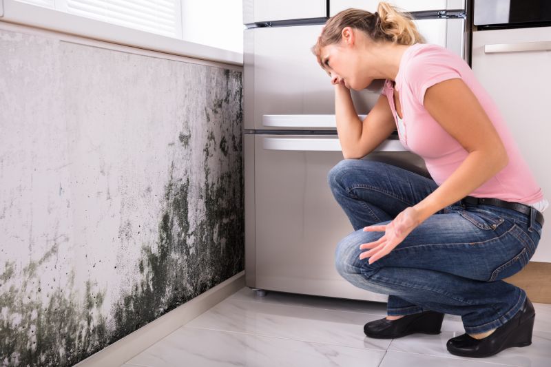 Black Mold Removal in Essex County, NJ