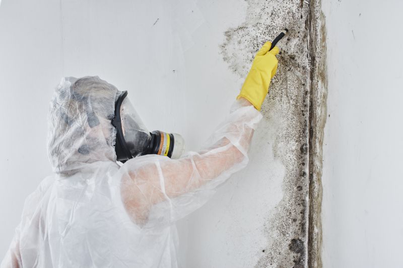 Black Mold Removal in Dallas, TX