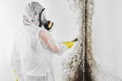 Black Mold Removal in Frisco, TX
