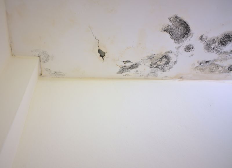 Ceiling Mold Removal in Essex County, NJ