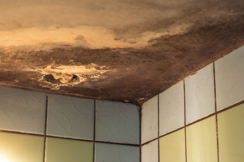 Ceiling Mold Removal in Frisco, TX