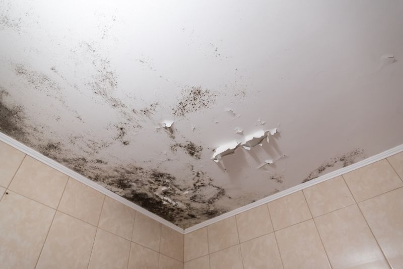 Ceiling Mold Removal in Broward County, FL