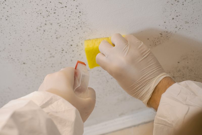 Crawlspace Mold Remediation in Bergen County, NJ