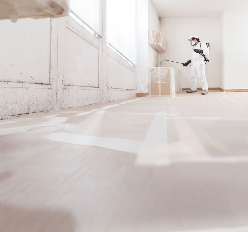 Garage Mold Remediation in Jupiter, FL