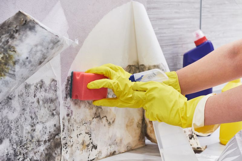 Garage Mold Remediation in Broward County, FL