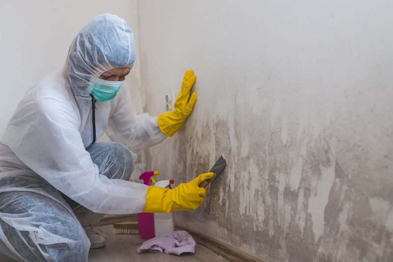 Mold Abatement Service in Essex County, NJ