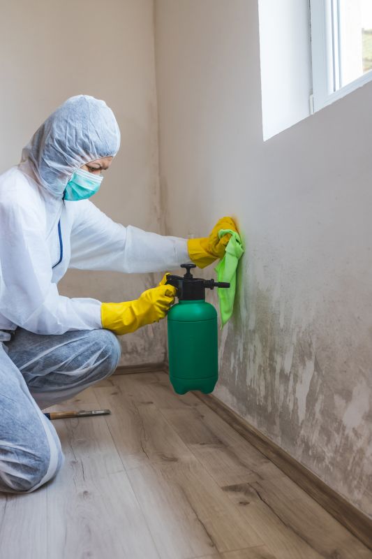 Mold Abatement Service in Jupiter, FL