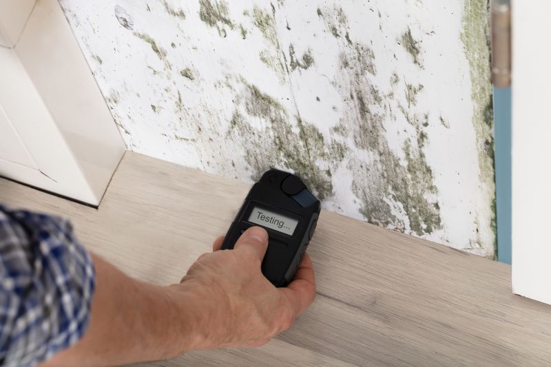 Mold Detection in Bergen County, NJ