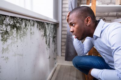 Mold Inspection And Removal in Delray Beach, FL