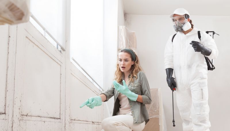 Mold Mitigation Service in Bergen County, NJ
