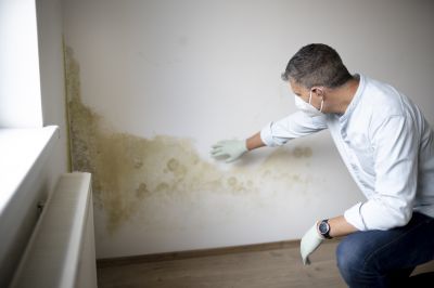 Mold Mitigation Service in Boca Raton, FL