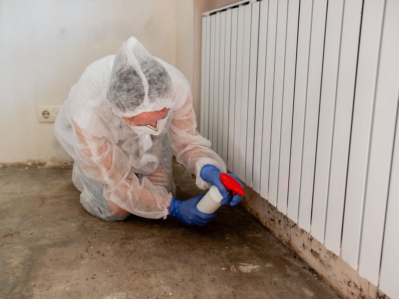 Mold Mitigation Service in Fort Worth, TX