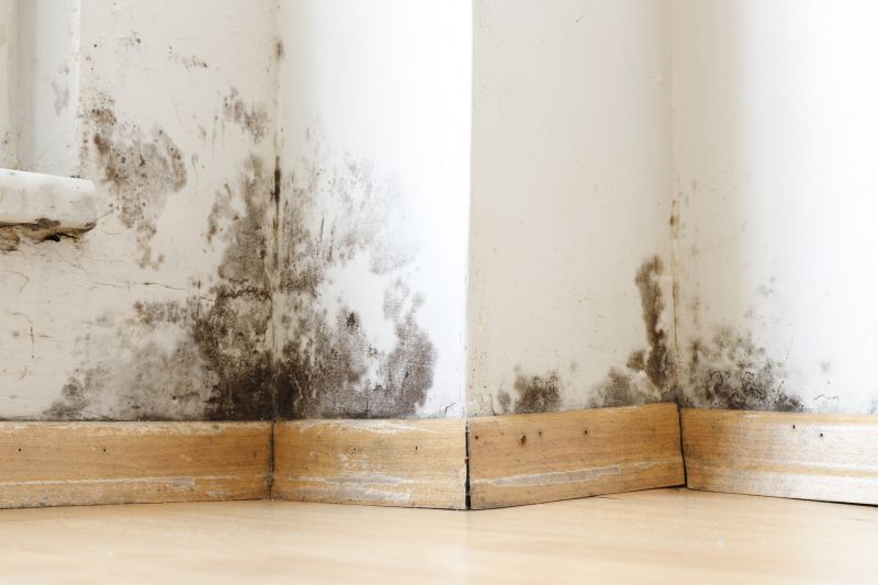 Mold Restoration in Dallas, TX