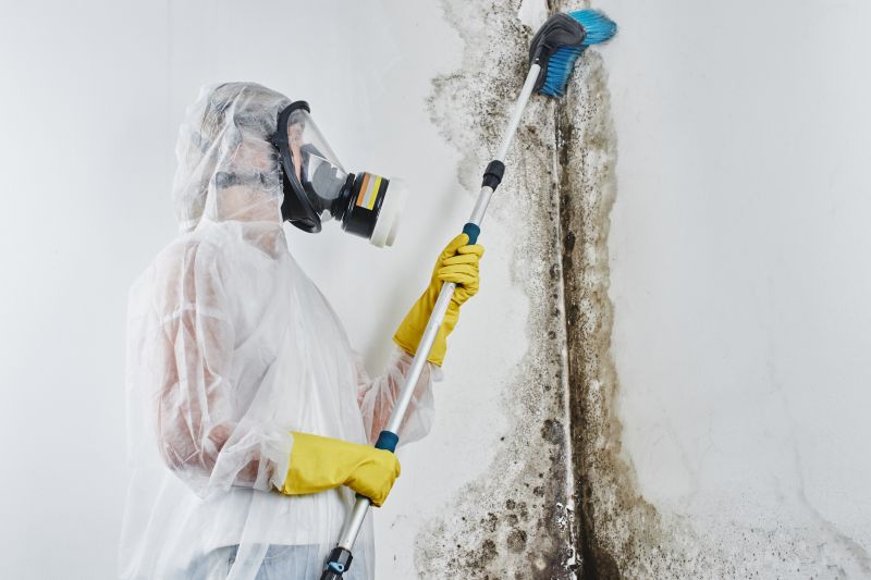 Mold Treatment Service in Essex County, NJ