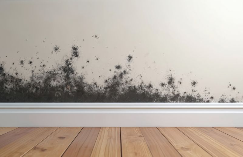 White Mold Mitigation in Broward County, FL