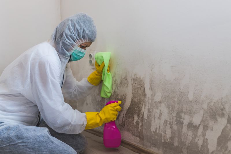 Attic Mold Removal in Jupiter, FL