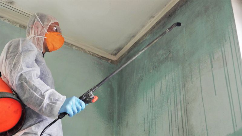 Mold Mitigation Service in Fort Worth, TX